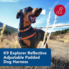 Coastal Pet K9 Explorer: arnés ajustable para un ajuste cómodo.