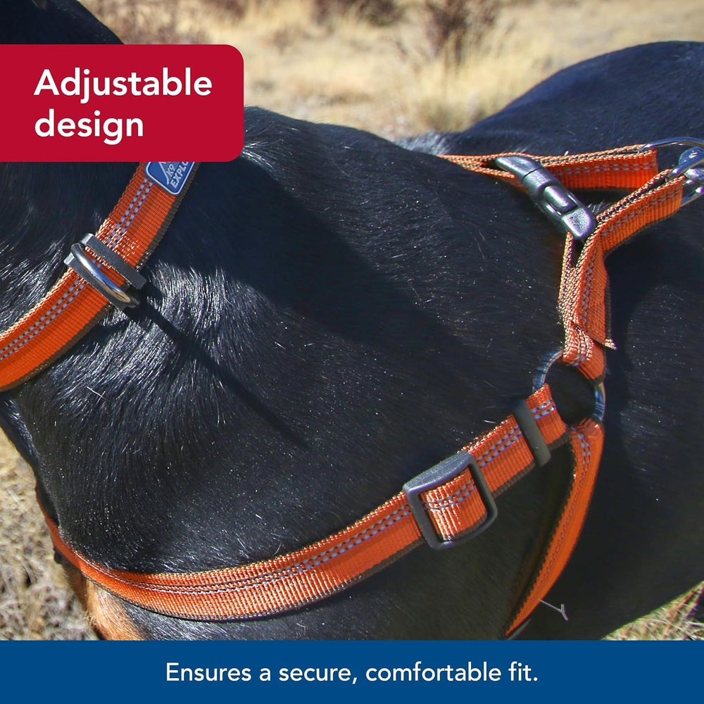 Coastal Pet K9 Explorer: diseño seguro y fácil de colocar.