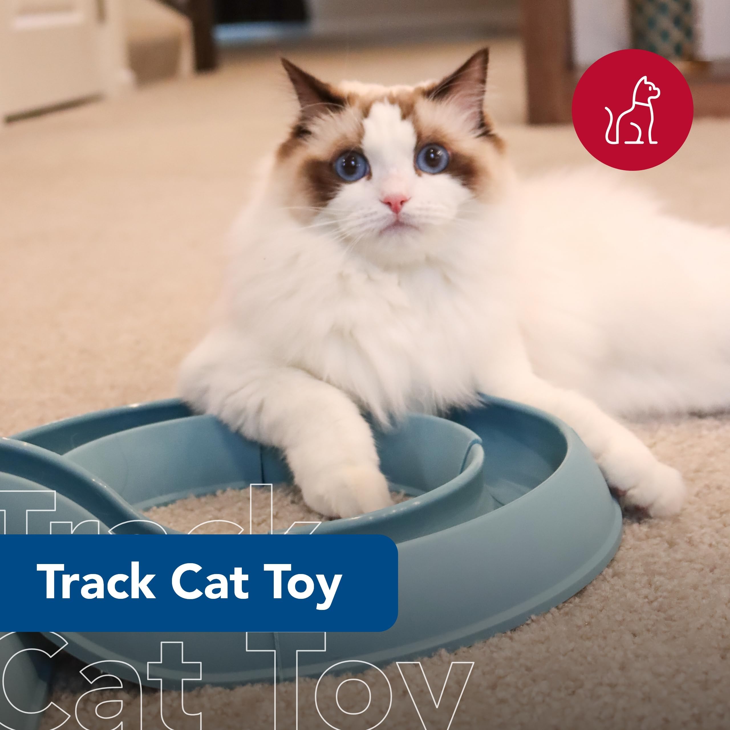 Turbo Track de Coastal Pet: piezas de ensamblaje rápido para montaje sencillo