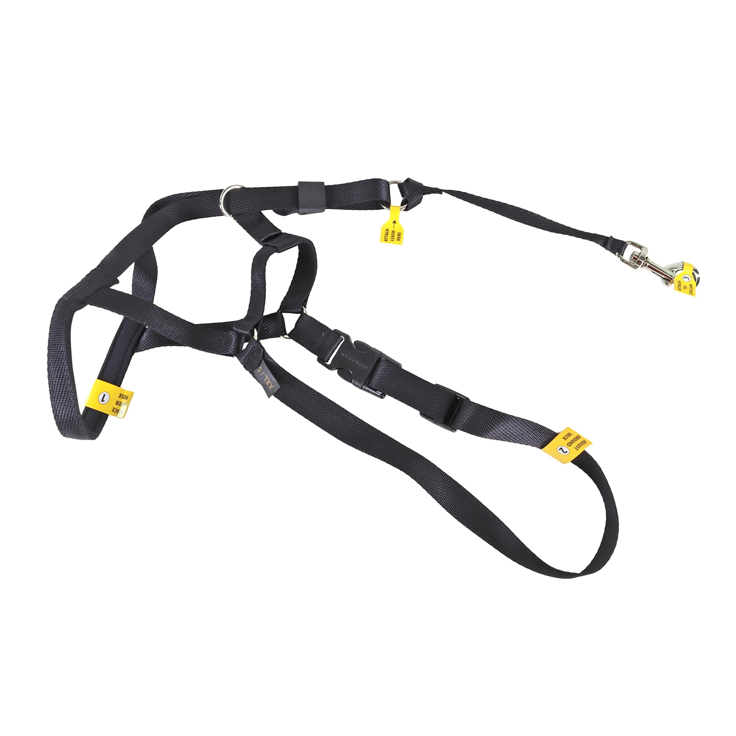 Coastal Walk 'n Train halter frontal para guiar la cabeza y reducir tirones.