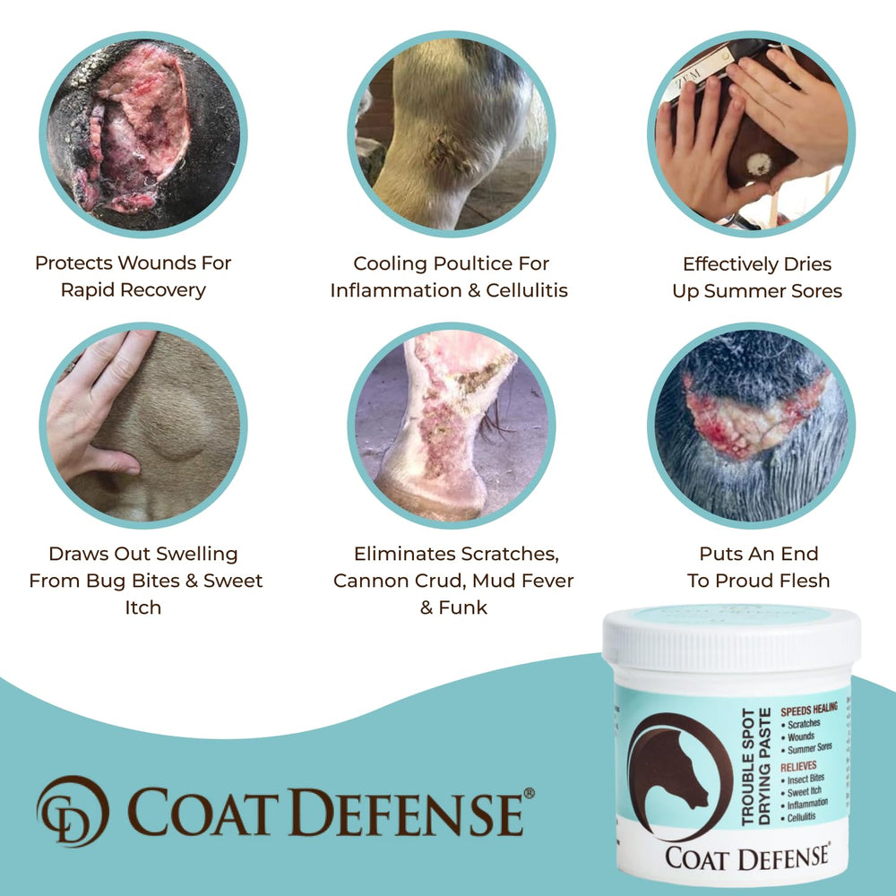 COAT DEFENSE pasta-aplicacion-seca-en-heridas: aplicación limpia que mantiene la piel seca.