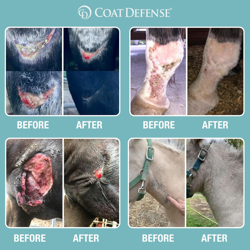 COAT DEFENSE pasta-prevencion-summer-sores-caballos: ayuda a prevenir úlceras de verano en caballos.
