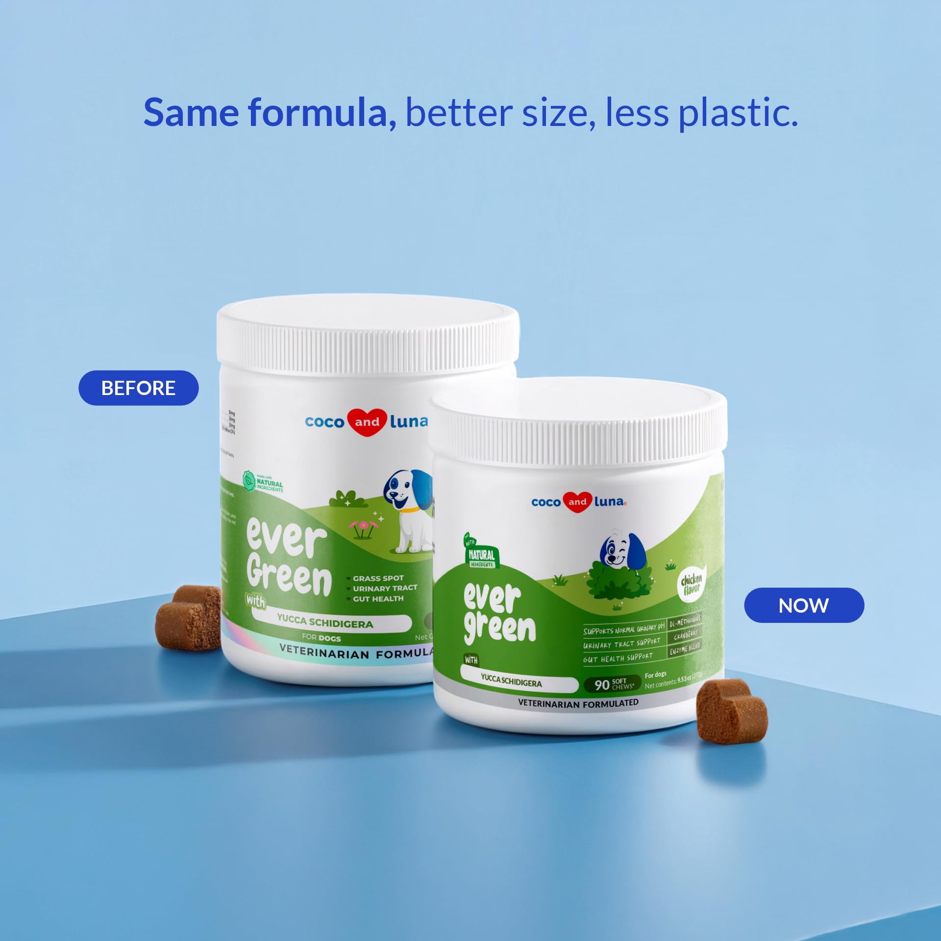 Coco y Luna: enzimas y probióticos para apoyo digestivo del perro.