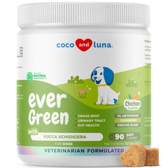 Coco y Luna masticas spot césped verde para control de manchas por orina.