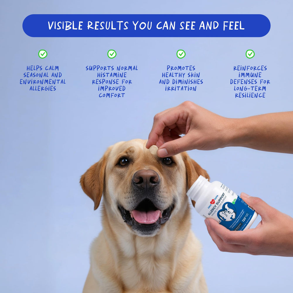 Coco y Luna omega-3 y colostro para perro, suplemento que favorece piel sana.