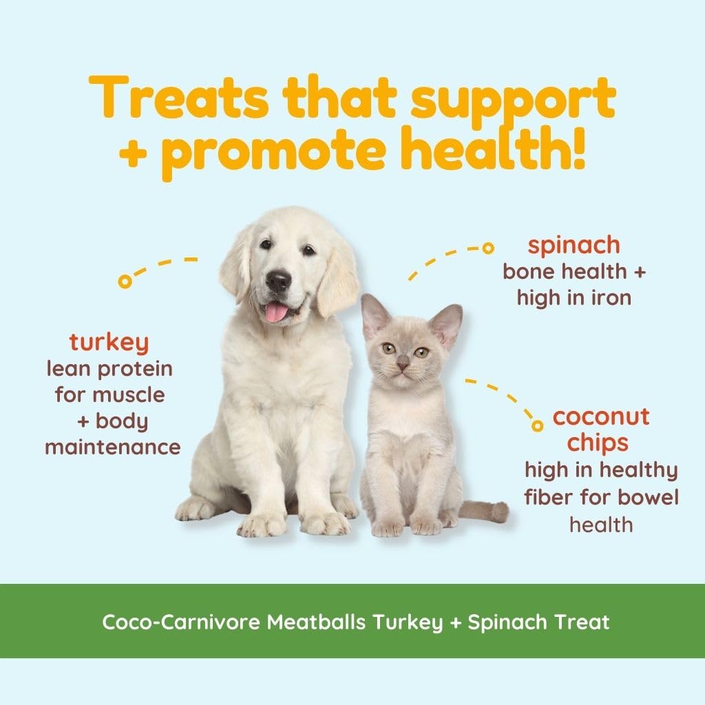 Dieta libre de granos: albóndigas de pavo Coco-Carnivore para perros.