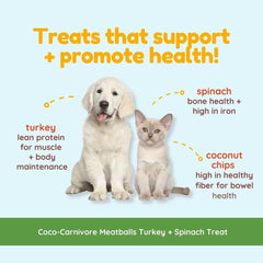 Dieta libre de granos: albóndigas de pavo Coco-Carnivore para perros.