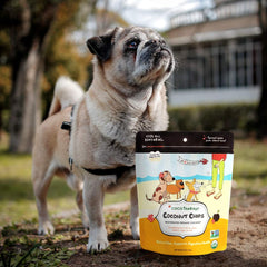 CocoTherapy chips de coco crujientes en bolsa, ideal para recetas y meriendas