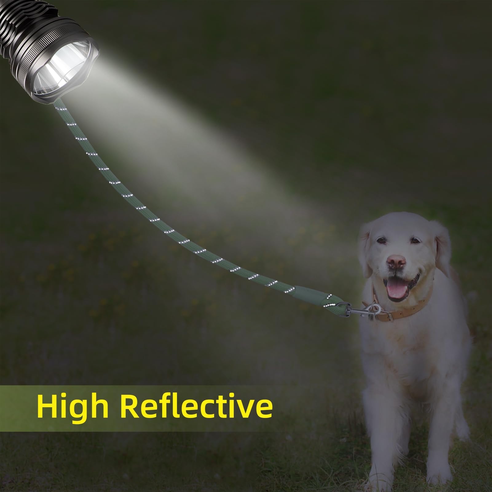 Codepets correa 30ft para senderismo y actividades al aire libre.
