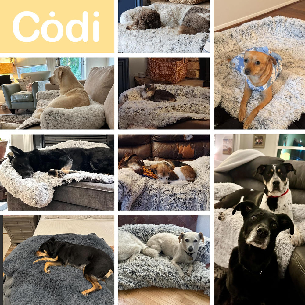 Codi Cama Calmante: forro lavable para una limpieza rápida tras manchas de perro.