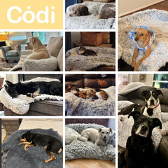 Codi Cama Calmante: forro lavable para una limpieza rápida tras manchas de perro.