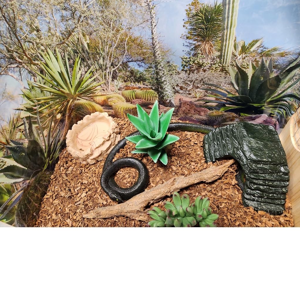 Coir Wonder producto sin polvo de coco, ideal para mascotas.