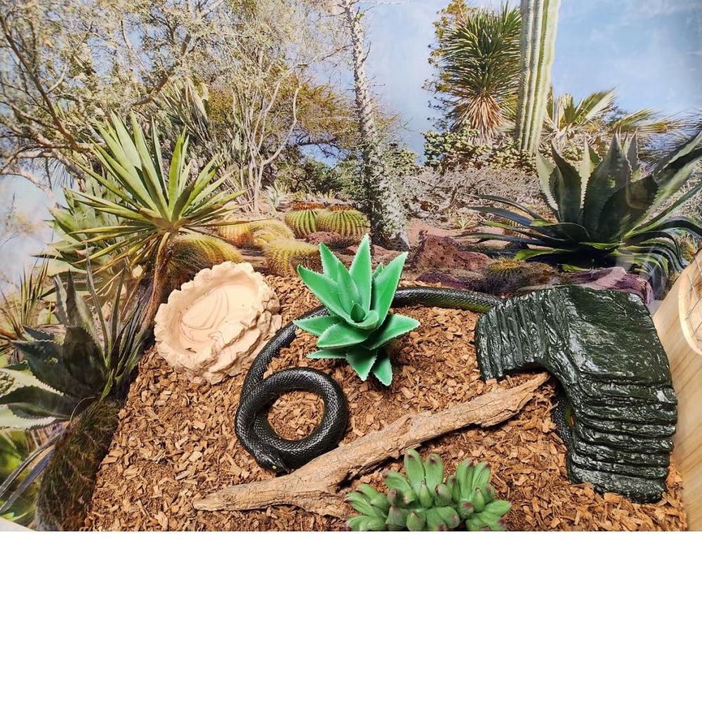 Coir Wonder producto sin polvo de coco, ideal para mascotas.
