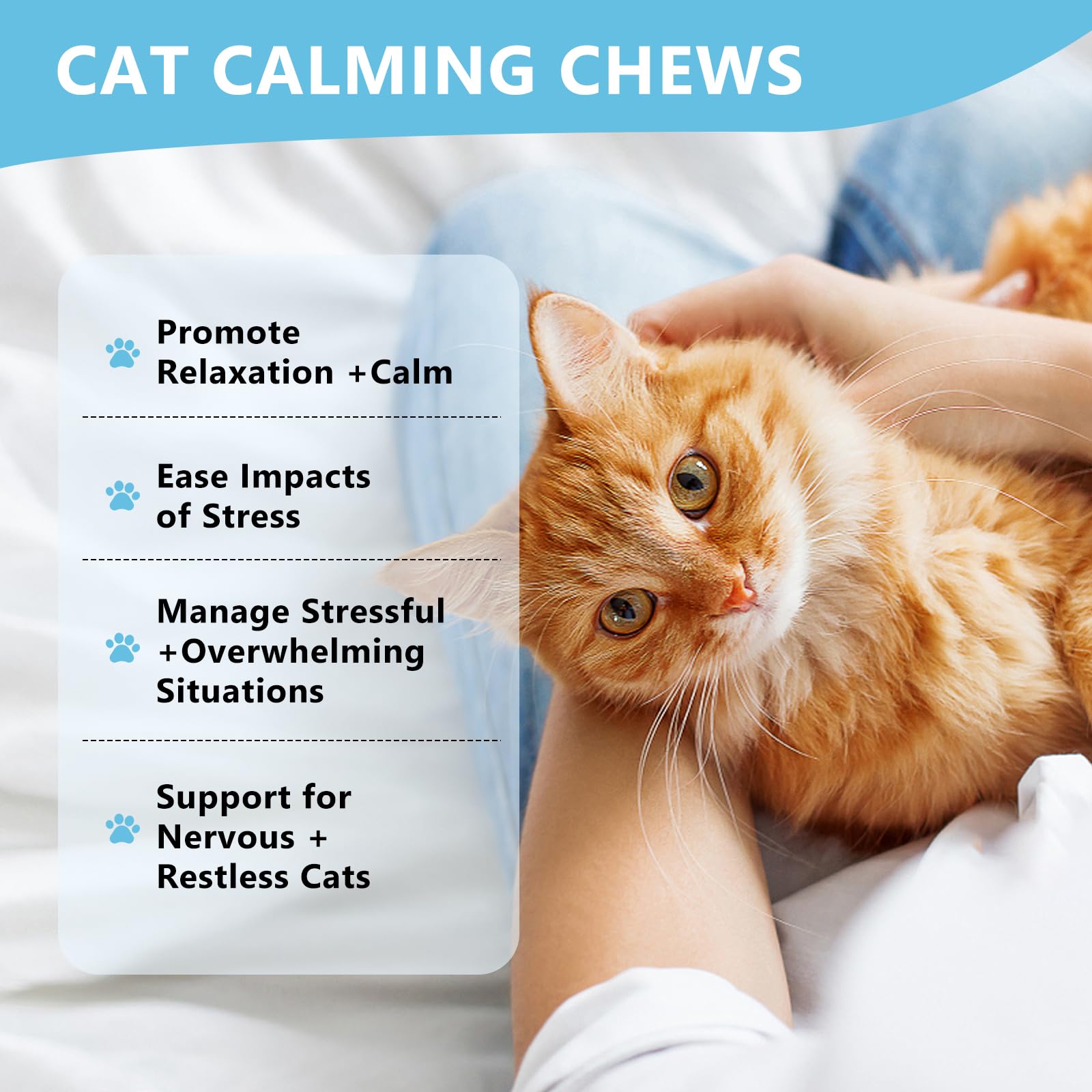 Coleaze bocado calma gatos para dormir mejor por la noche.