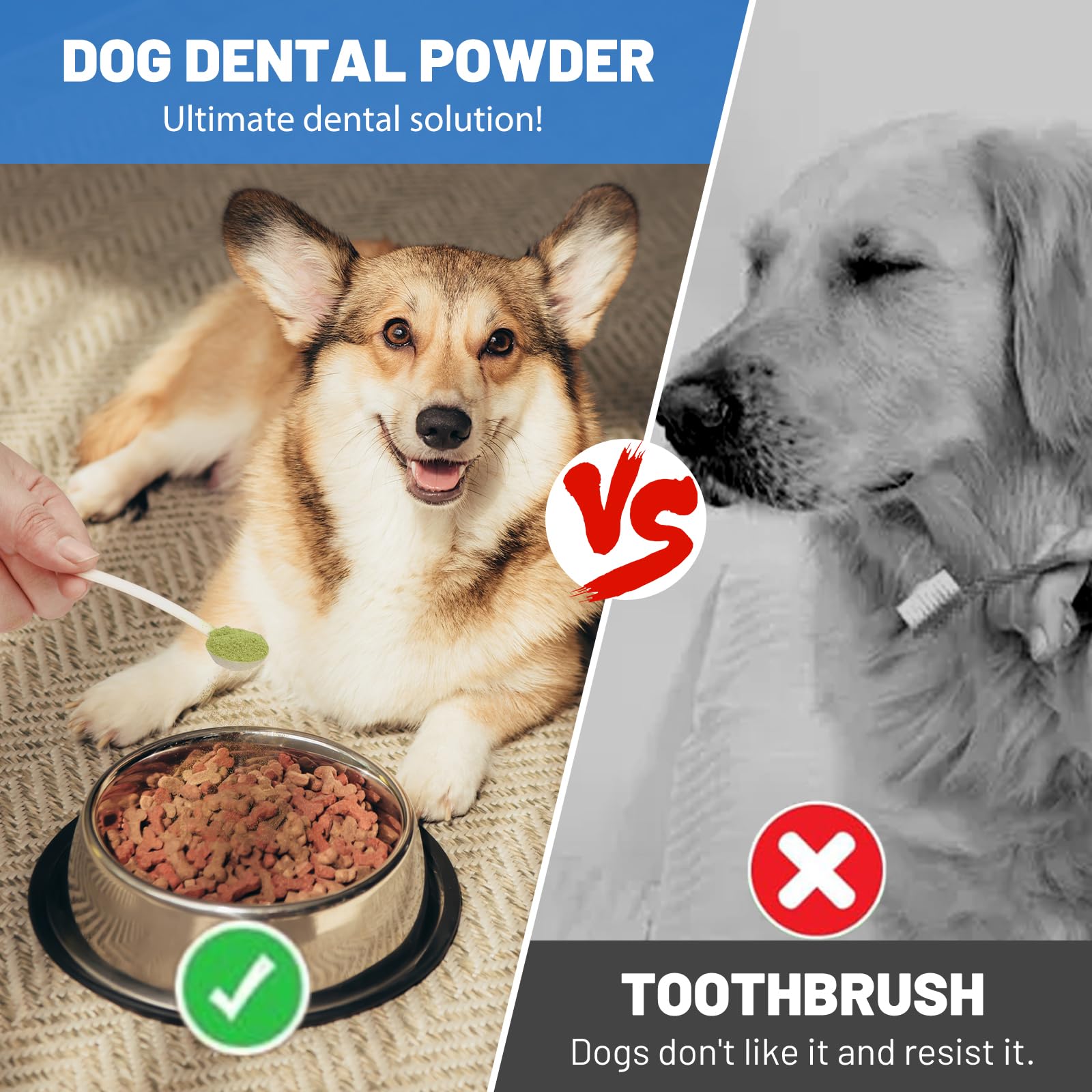 ColEaze-mezcla-herbal-perro-polvo-dientes, mezcla natural para higiene bucal.