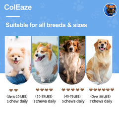 ColEaze probióticos para perros ingredientes ayuda a la digestión