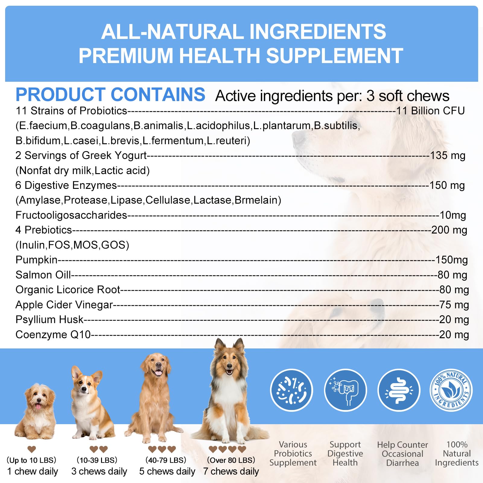 ColEaze probióticos para perros mascota disfrutando bienestar diario