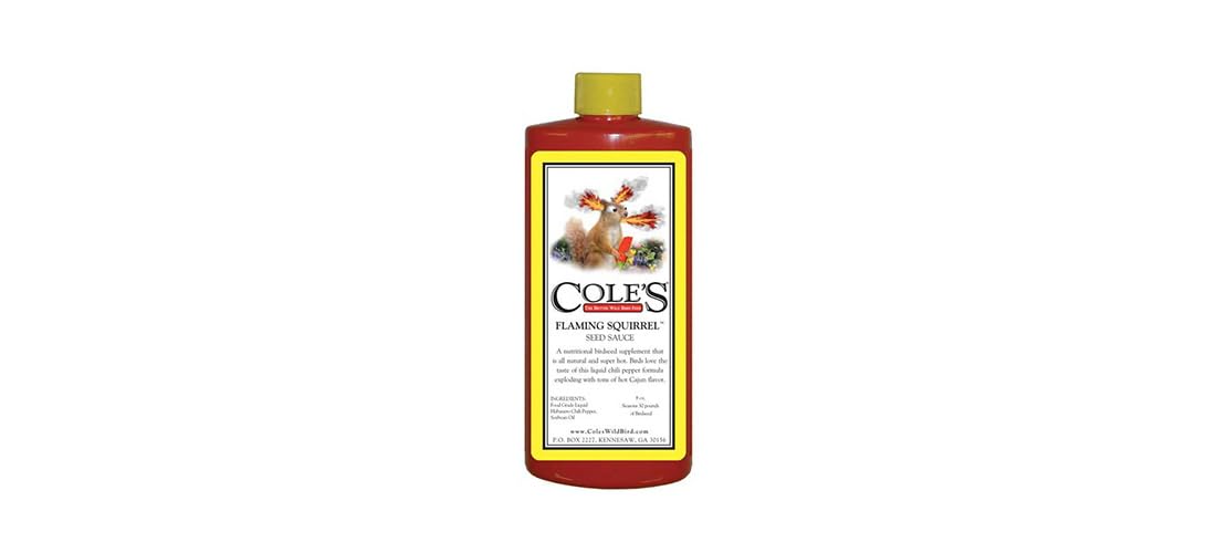 COLE'S THE BETTER WILD BIRD FEED salsa ardilla-vertido en comedero atrae aves