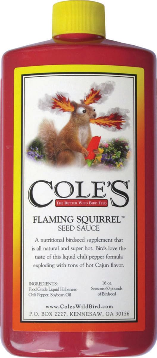COLE'S THE BETTER WILD BIRD FEED salsa de semillas ardilla en frasco de 16 oz atrae aves