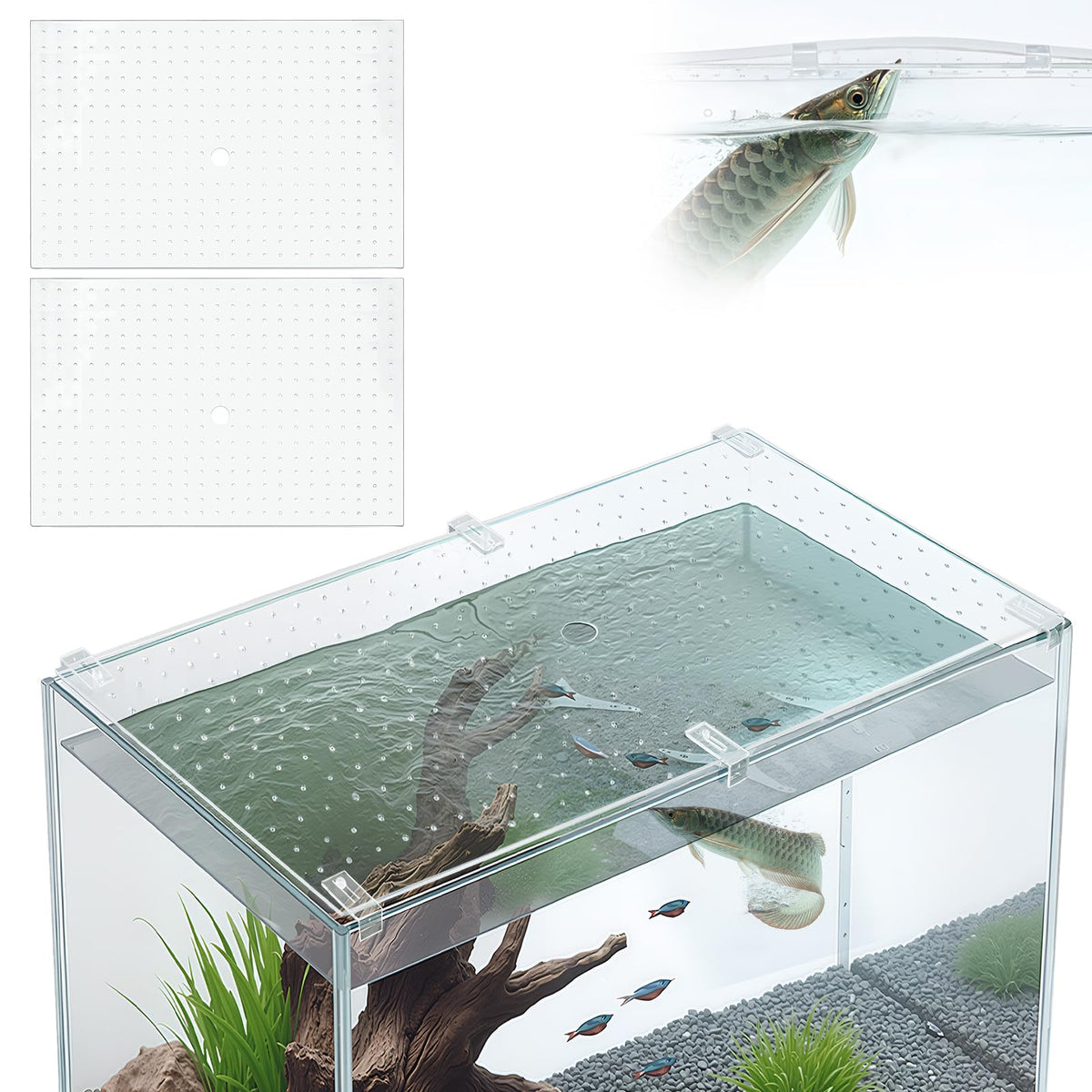 Coberturas acrílicas para acuario Colingmill, visión clara para observar peces