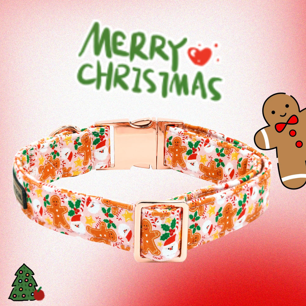 Collar ajustable 16-24 pulgadas para perros grandes y activos