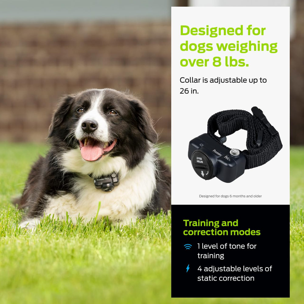 Collar de expansión Premier Pet con diseño resistente para uso diario