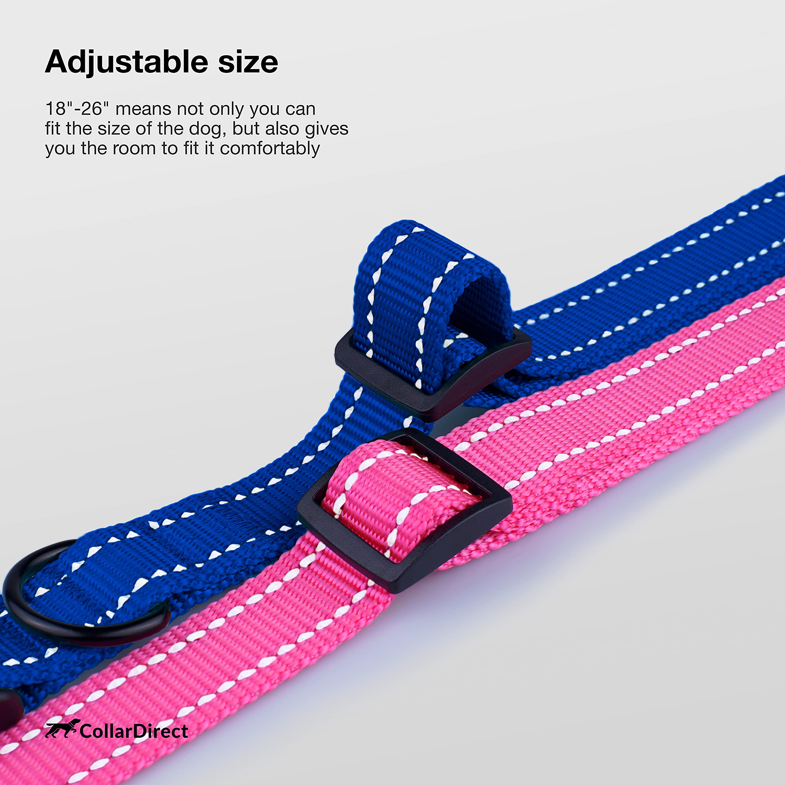 CollarDirect 12 colores disponibles para combinar con tu correa