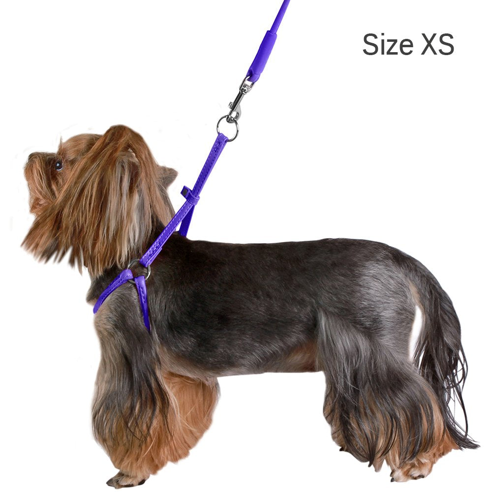 CollarDirect arnés enrollado talla XS, para perros muy pequeños con confianza.