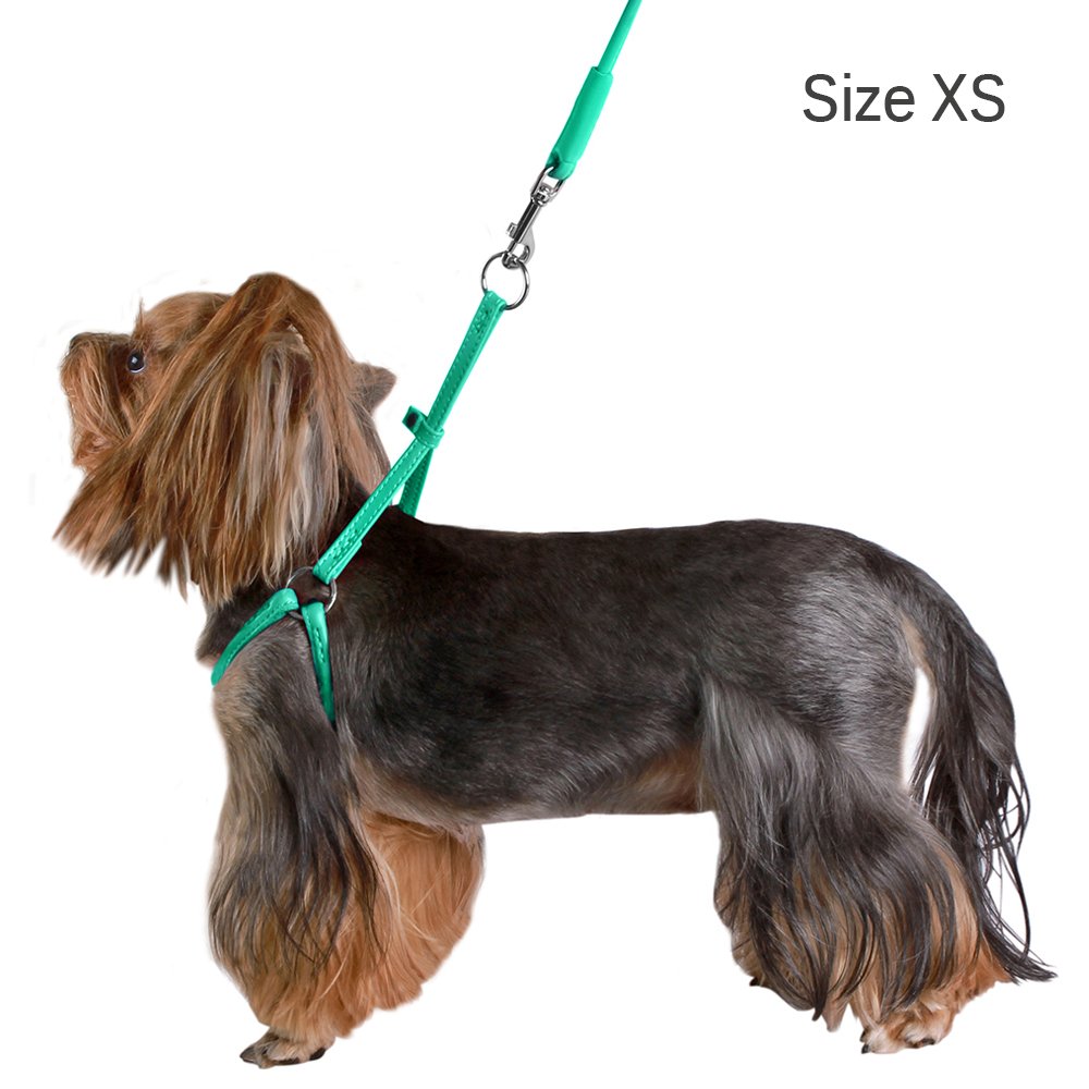 CollarDirect arnés enrollado en variedad de colores, para combinar con la personalidad del perro.