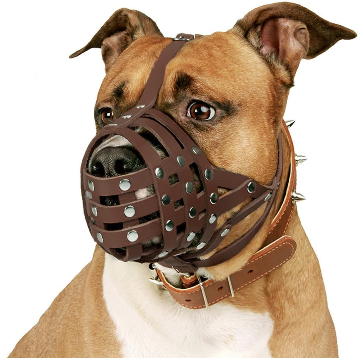 CollarDirect bozal de cesta de cuero marrón para Pitbull, ideal para paseos seguros.
