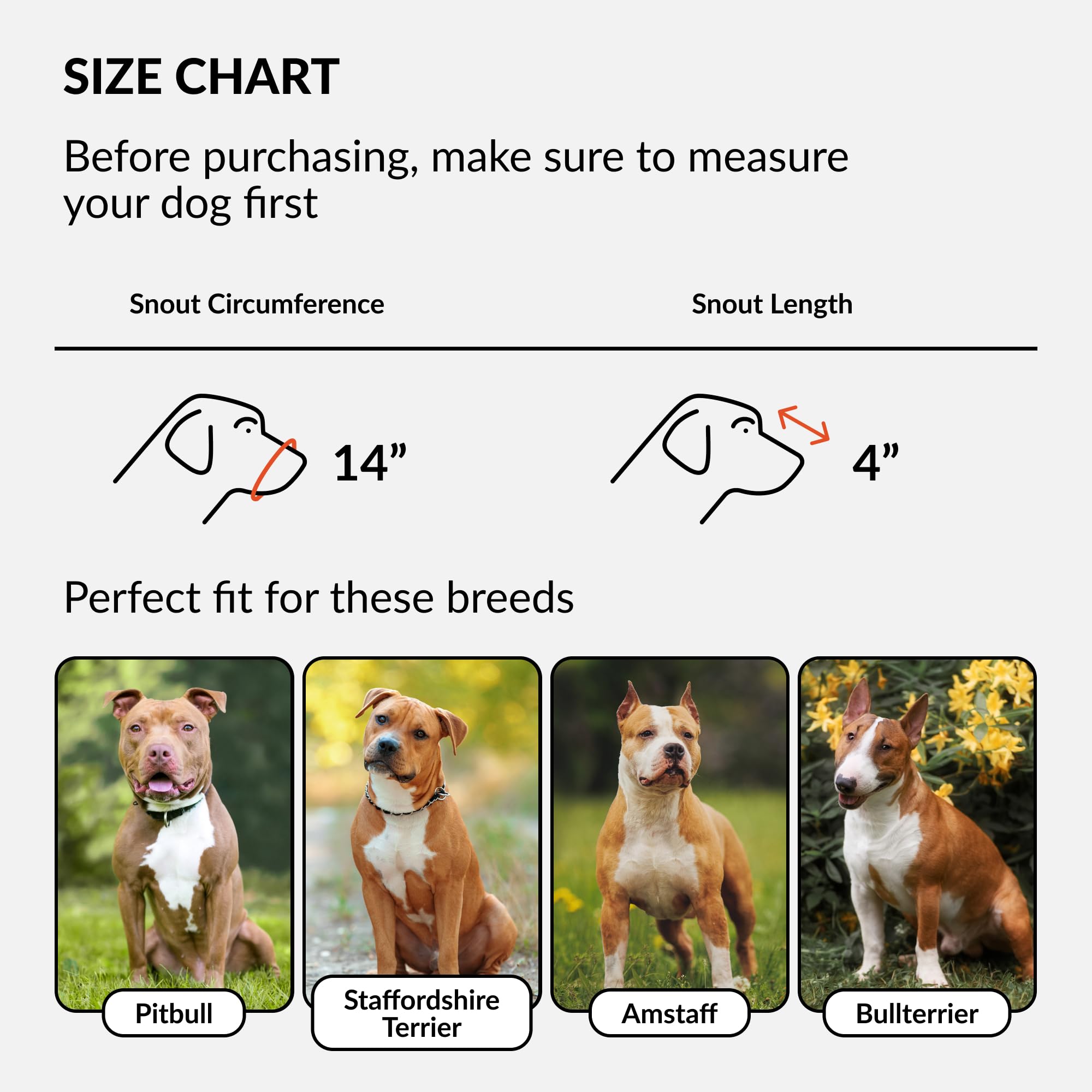 CollarDirect bozal en cesta: perfil del perro con ajuste seguro.
