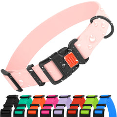 CollarDirect agua-resistente para perros, ideal para paseos al aire libre con lluvia.