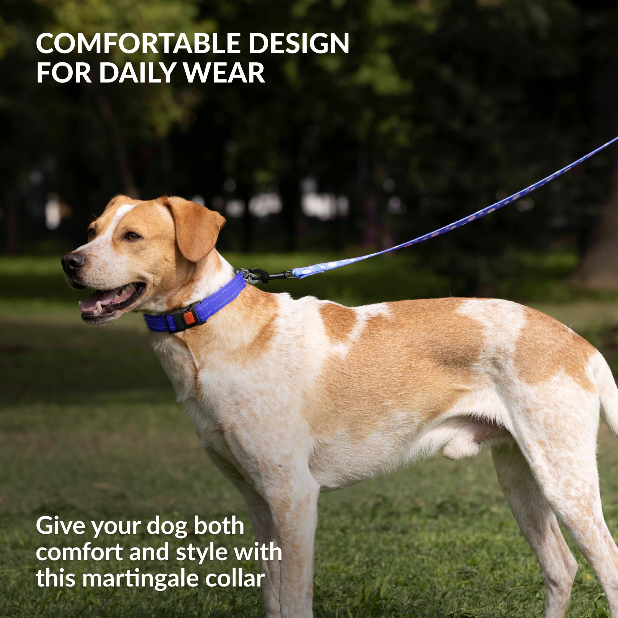 CollarDirect artesanía detallada y nylon suave, ideal para paseos diarios.