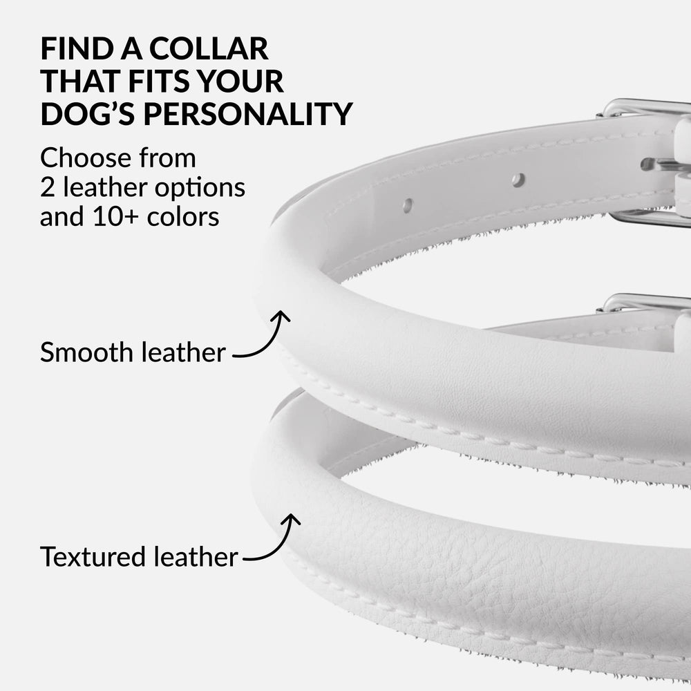 Collardirect collar de cuero enrollado para perro pequeño, disponible en colores.