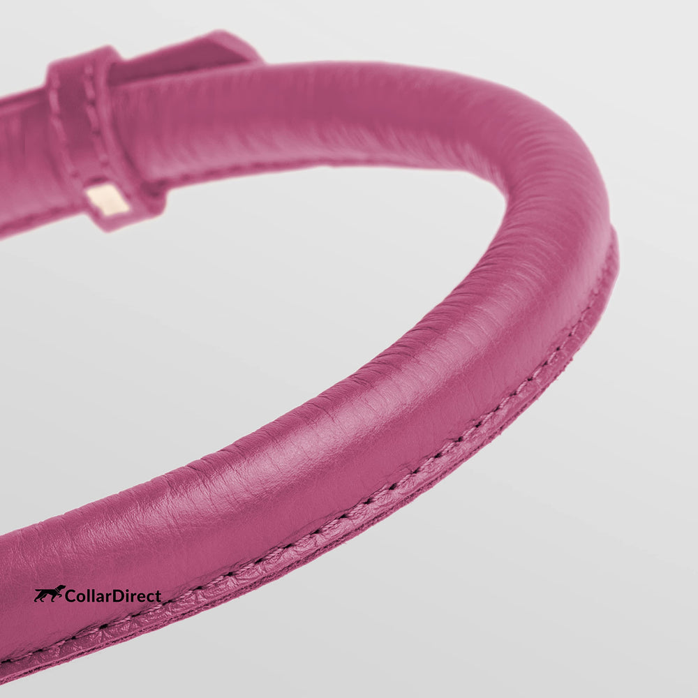 CollarDirect: collar de cuero enrollado rosa claro, ideal para perros con pelo largo.