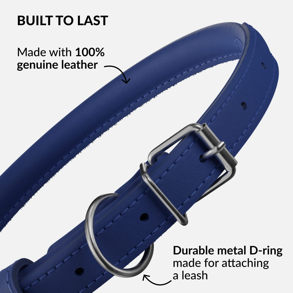 CollarDirect collar de cuero enrollado para tamaño grande, duradero para uso diario.