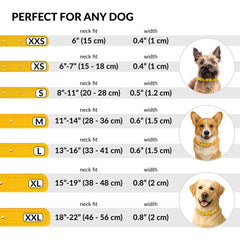 CollarDirect collar de cuero enrollado para uso diario y resistente.