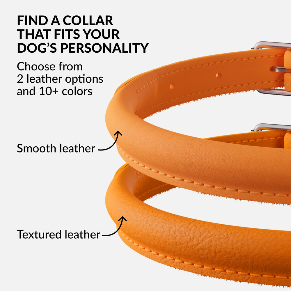 CollarDirect collar de cuero enrollado en varios colores para personalidad de la mascota.