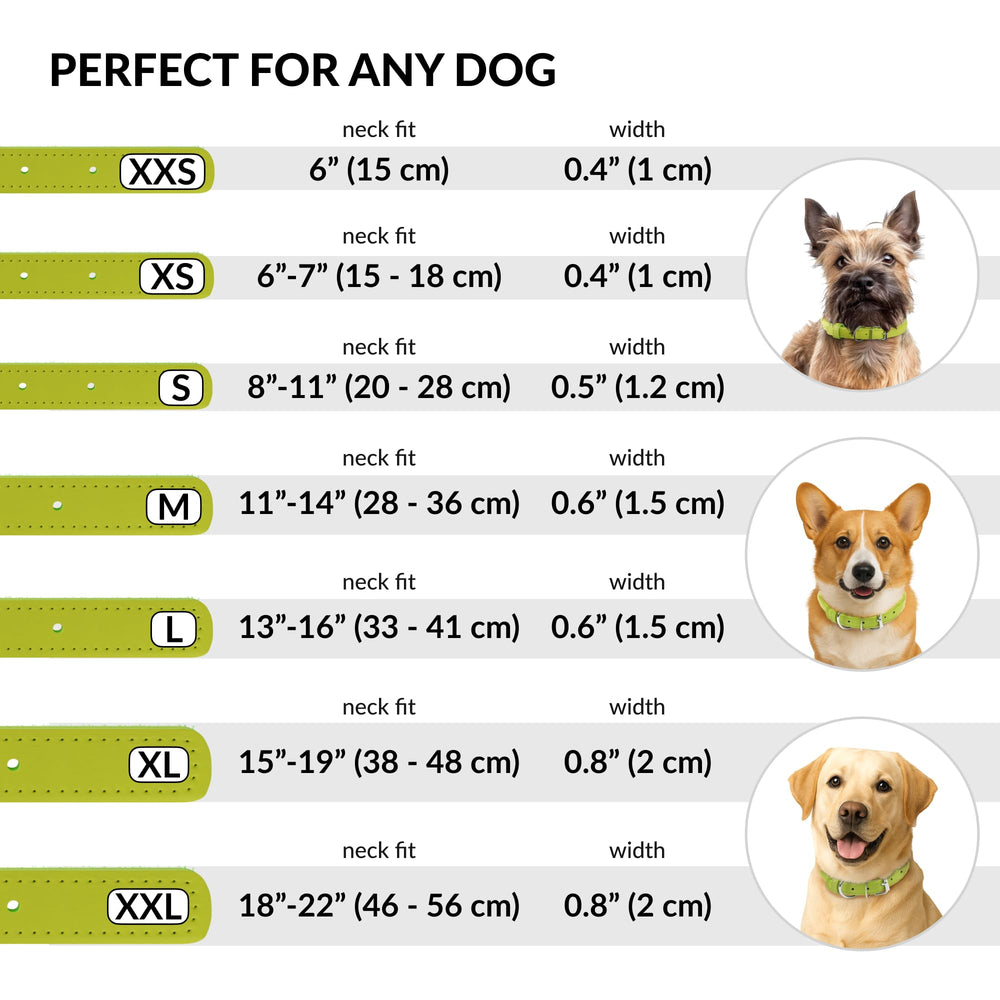 CollarDirect collar de cuero 11-14 pulgadas, talla adecuada para perros pequeños y medianos.