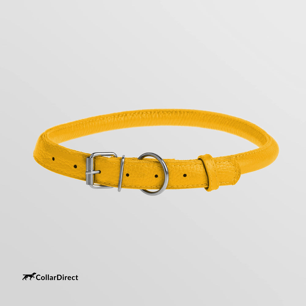 CollarDirect collar de cuero fácil de limpiar, perfecto para aventuras diarias.