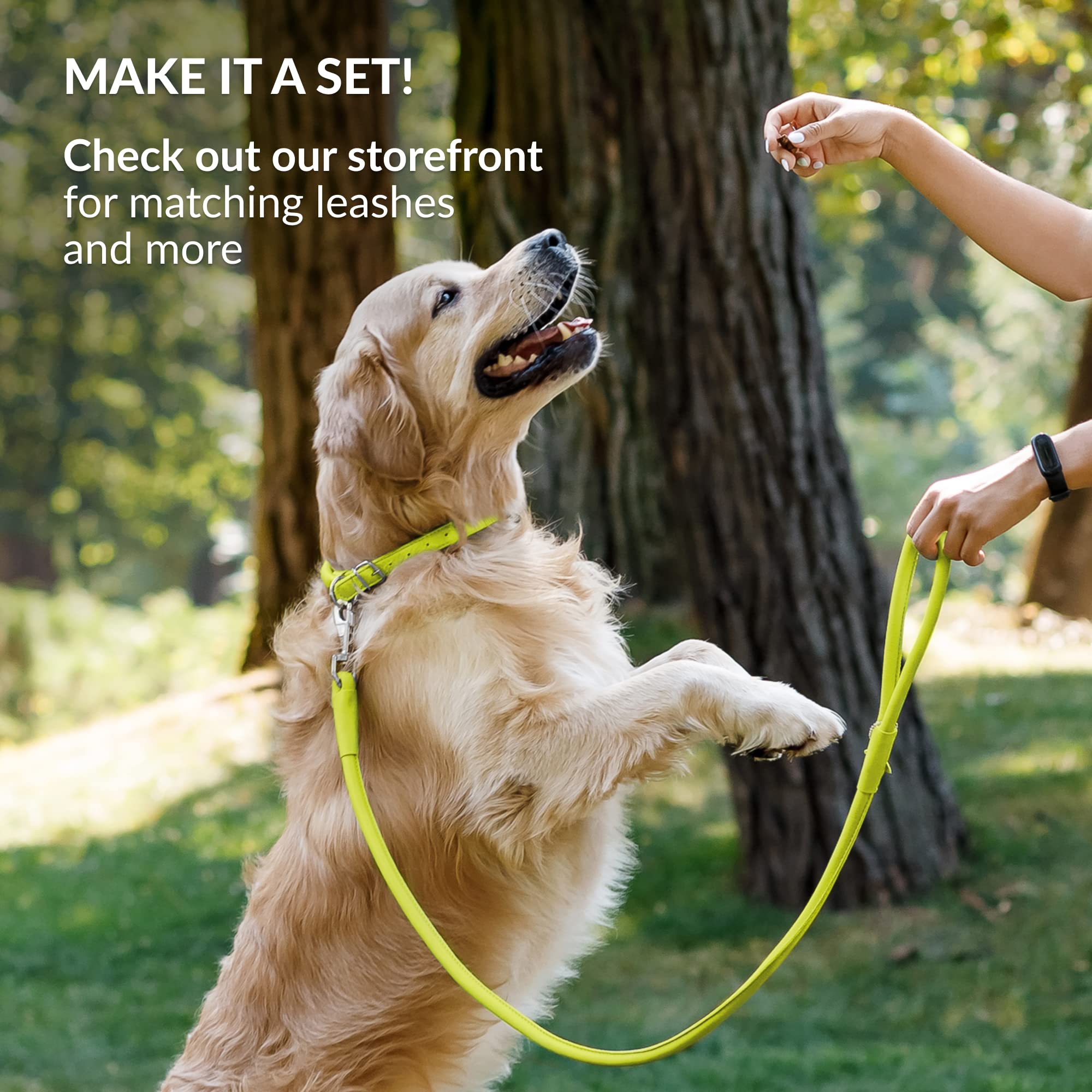 CollarDirect collar de cuero para gatos y perros, opción de compra complementaria.