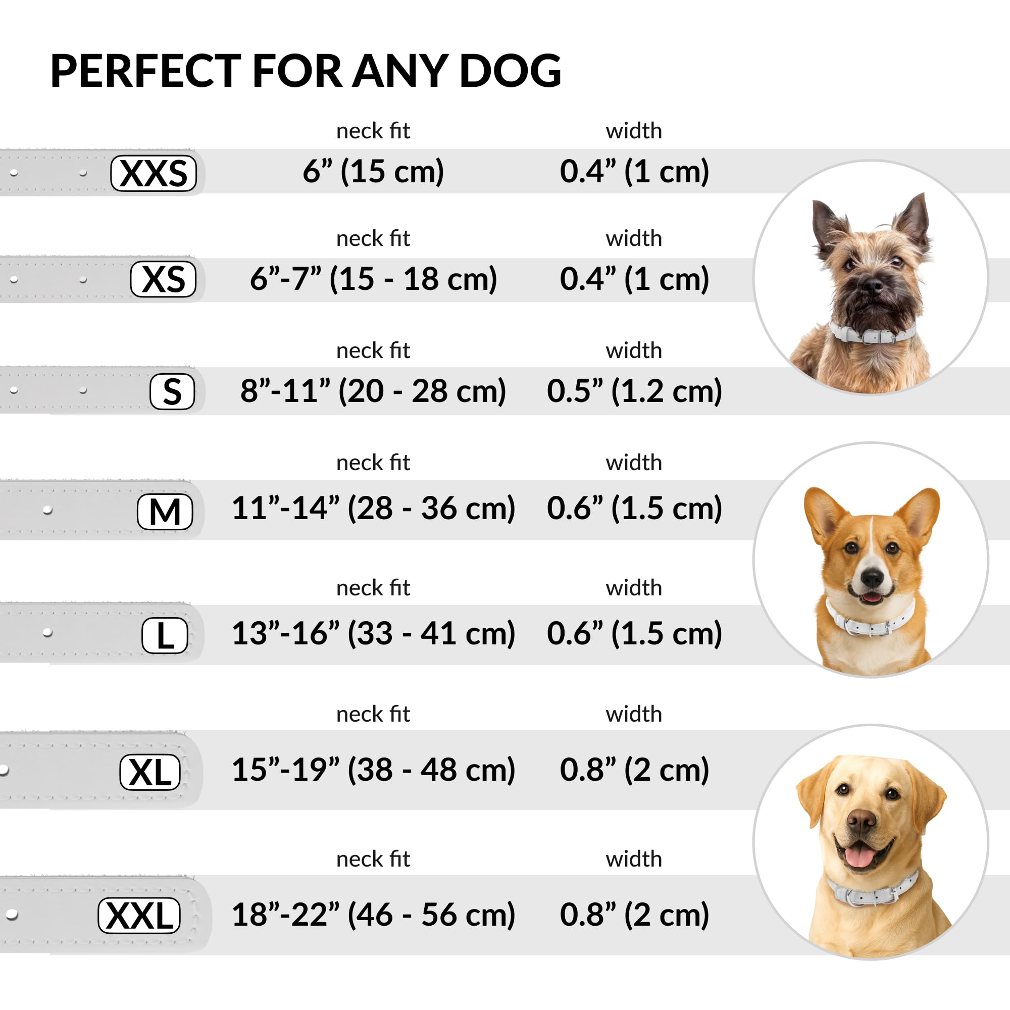 CollarDirect collar para gatos y perros, colores variados para personalidad.