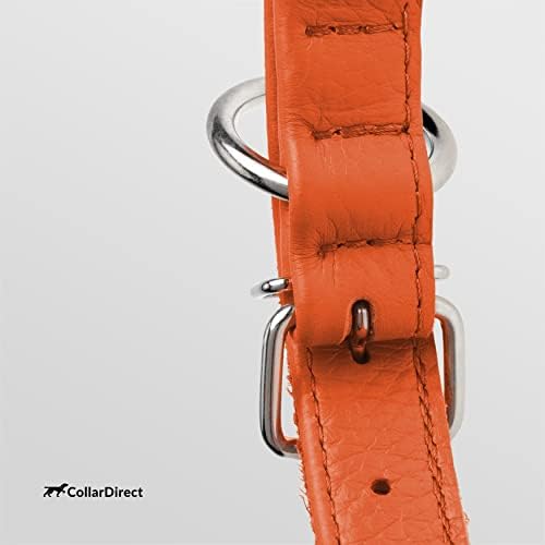 Collar Directo para mascotas activas, listo para aventuras diarias.
