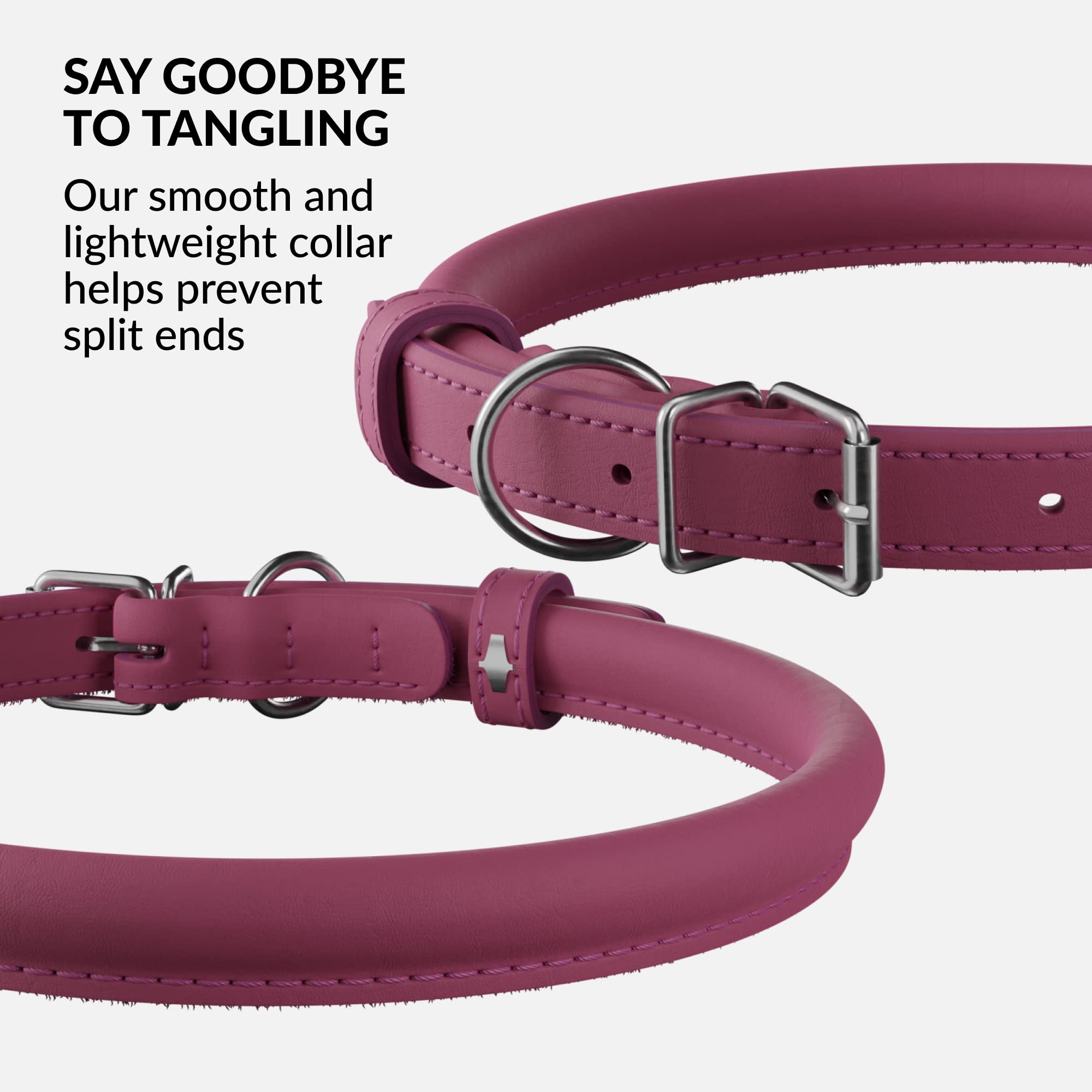 CollarDirect collar de cuero para perros y gatos, uso diario y limpieza fácil