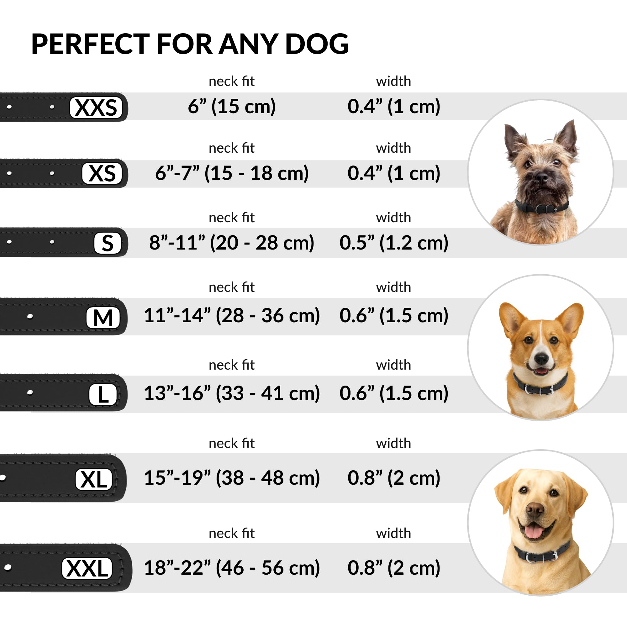 CollarDirect collar de cuero para perros y gatos, uso diario seguro.