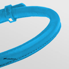 CollarDirect collar cuero suave acolchado, ideal para paseos cómodos.
