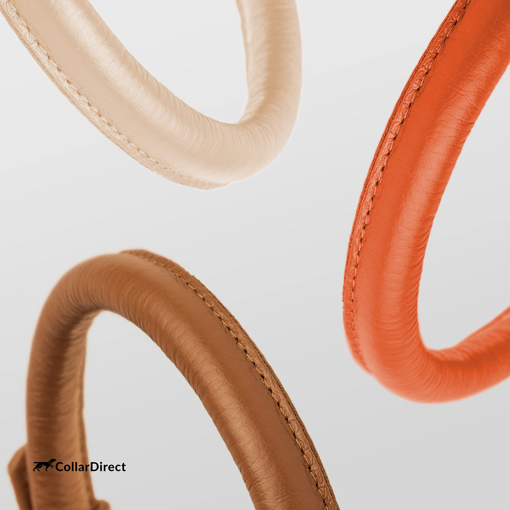 CollarDirect cuero texturizado naranja, estilo vibrante para tu mascota.