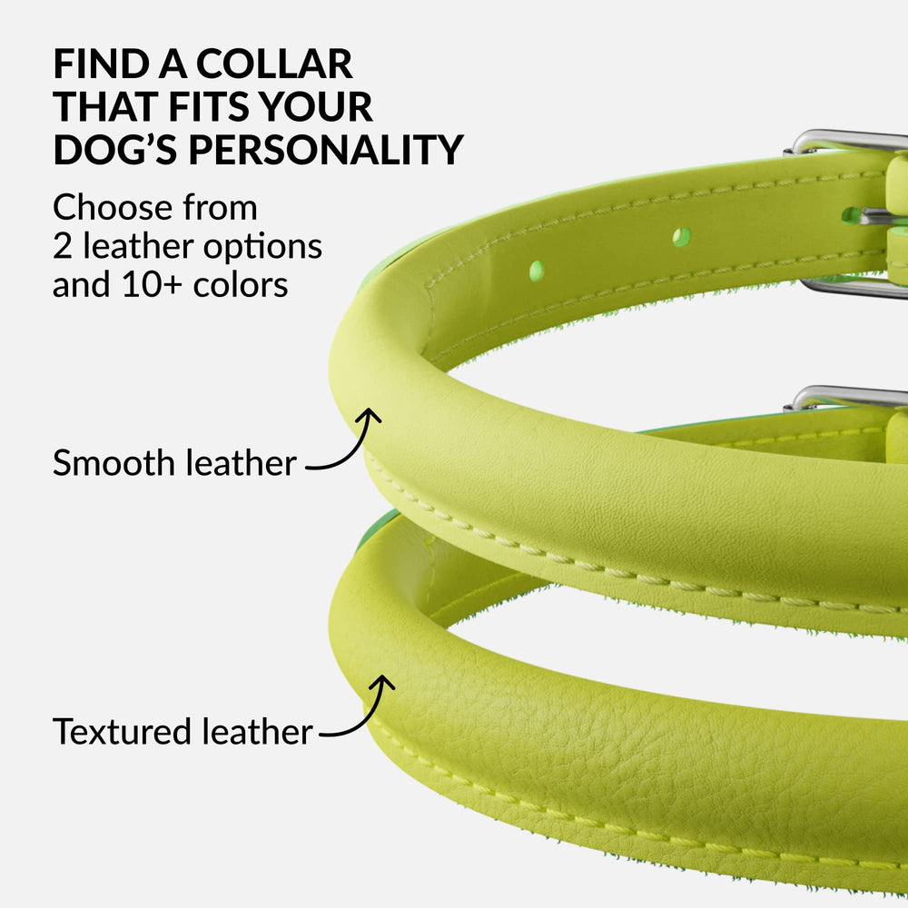 CollarDirect collar de cuero en múltiples colores, Lima Verde incluido para combinar estilo.