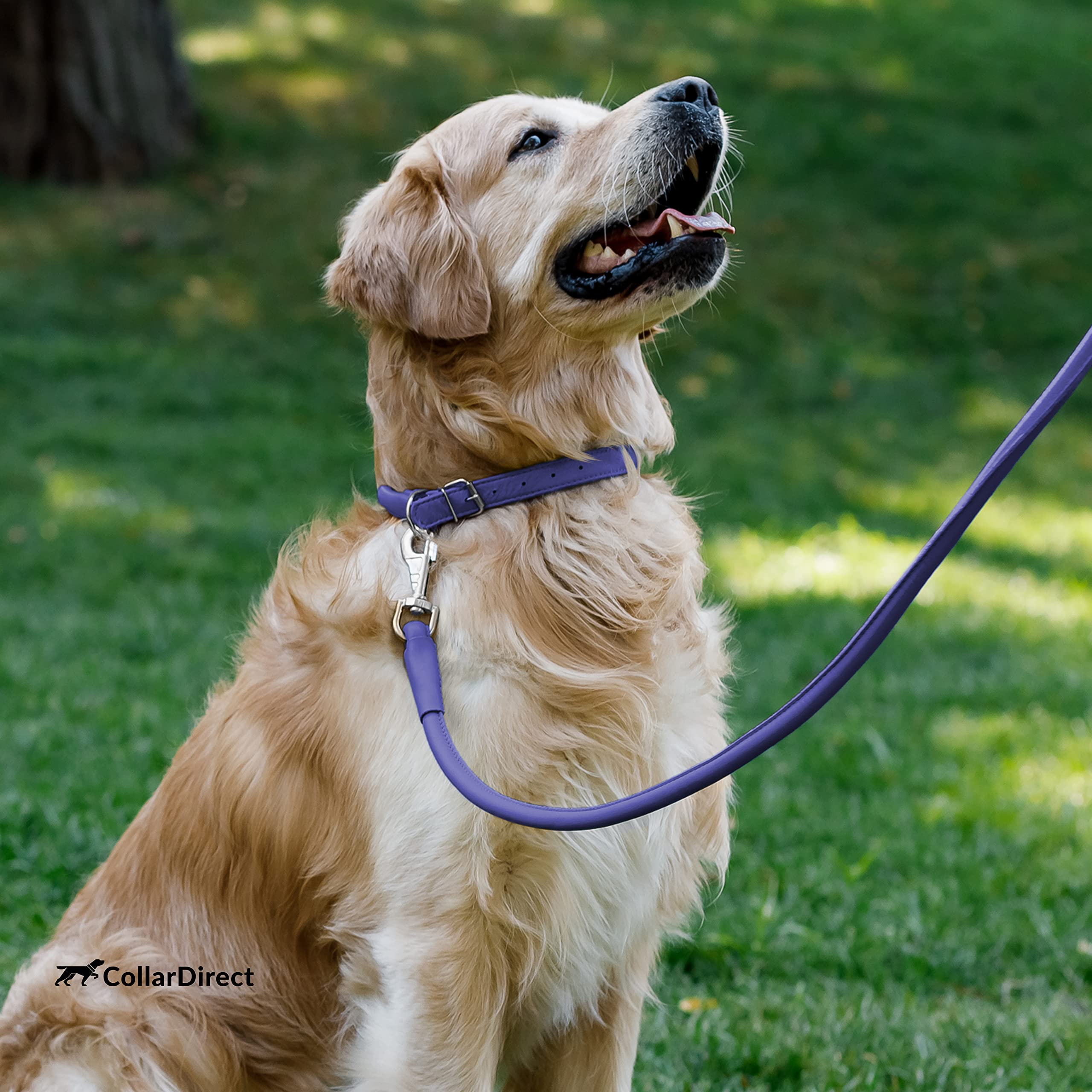 CollarDirect duradero, ideal para aventuras al aire libre.