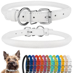 CollarDirect collar enrollado de cuero suave para perro, reduce enredos en el pelaje.